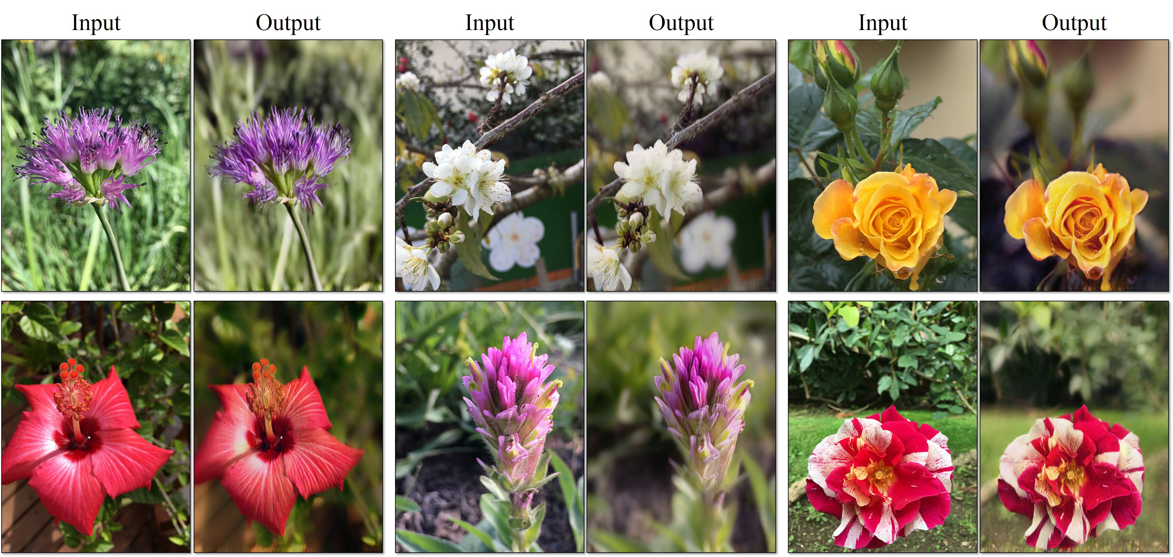 CycleGAN : Image Translation with GAN (4)